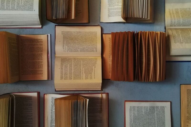 Ordem Para Ler Livros de Investimentos: O Guia Definitivo Para Iniciantes e Investidores em 2026