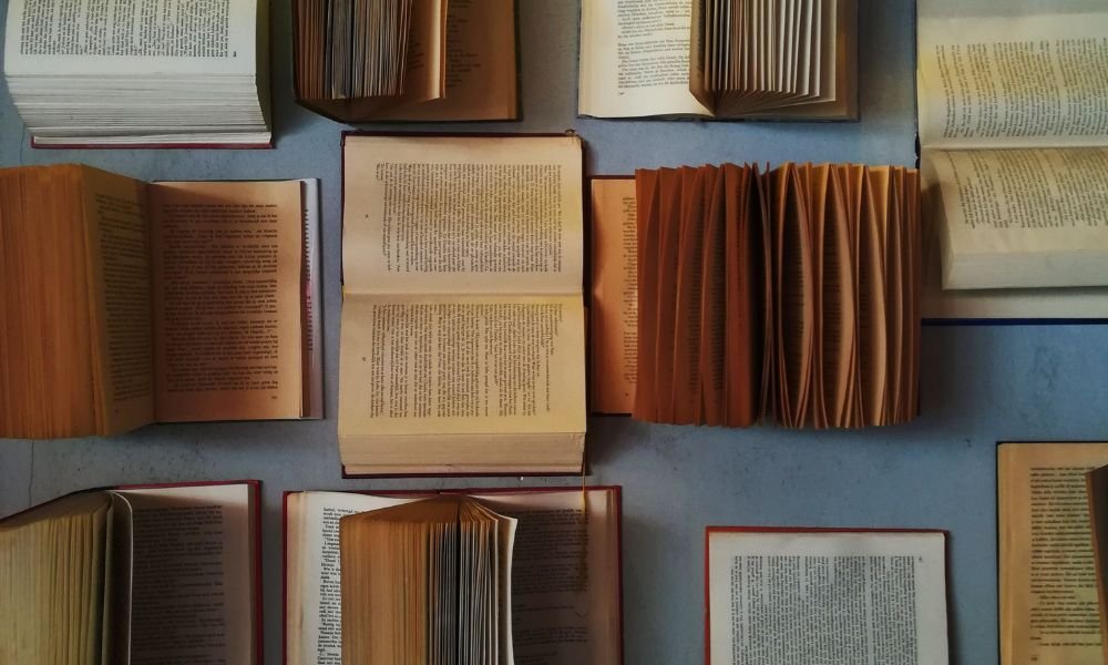 Ordem Para Ler Livros de Investimentos: O Guia Definitivo Para Iniciantes e Investidores